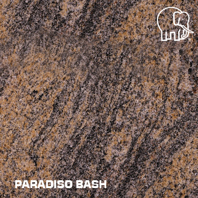 PARADISO-BASH