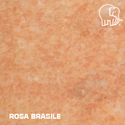 ROSA_BRASILE
