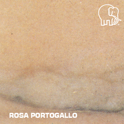 ROSA_PORTOGALLO